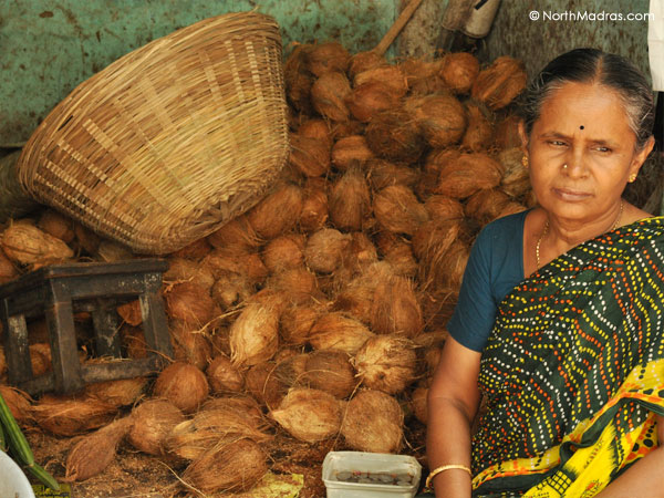 Coconut in various sizes
