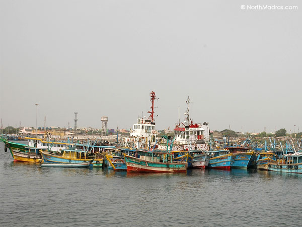 Ready for the next launch, boats are all set to venture into the sea.