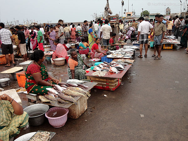 You can get fresh fish straightaway from the ocean here.