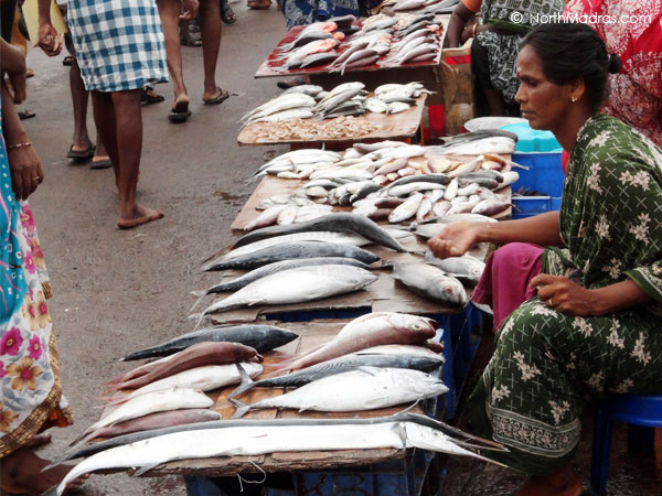 You shall bargain get worth full of fishes as per your need